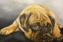 Mopsfidel, 80 x 120 cm