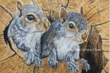 Squirrel, 50 x 50 cm