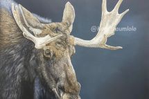 Ragnar, 80 x 80 cm