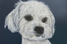Lilly, 50 x 50 cm gerahmt