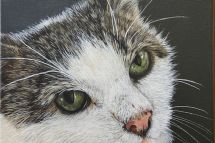 Mimimi, 40 x 40 cm gerahmt