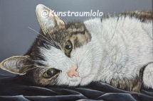Laili, 50 x 50 cm gerahmt