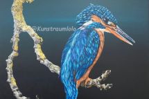 Eisvogel, 50 x 50 cm gerahmt