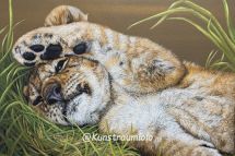 Löwenkind, 50 x 50 cm gerahmt