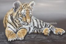 Löwenkind, 70 x 50 cm gerahmt