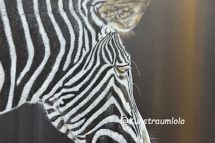 Zebrastreifen, 50 x 70 cm gerahmt